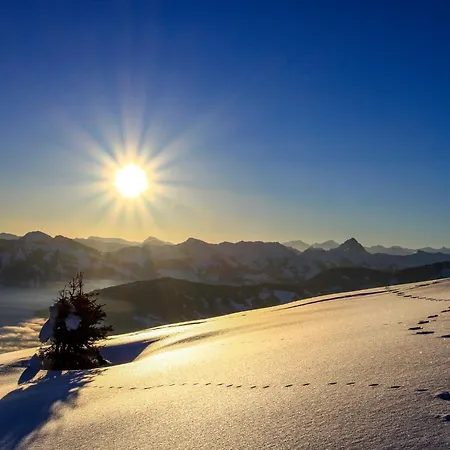 Kragenjoch By Interhome Lägenhet